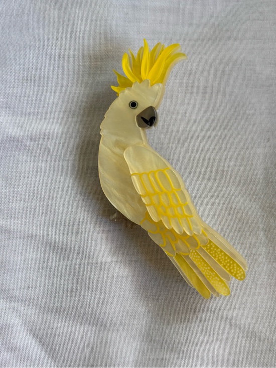 Erstwilder Jewelry - Erstwilder “Hello Cocky” Acrylic Brooch